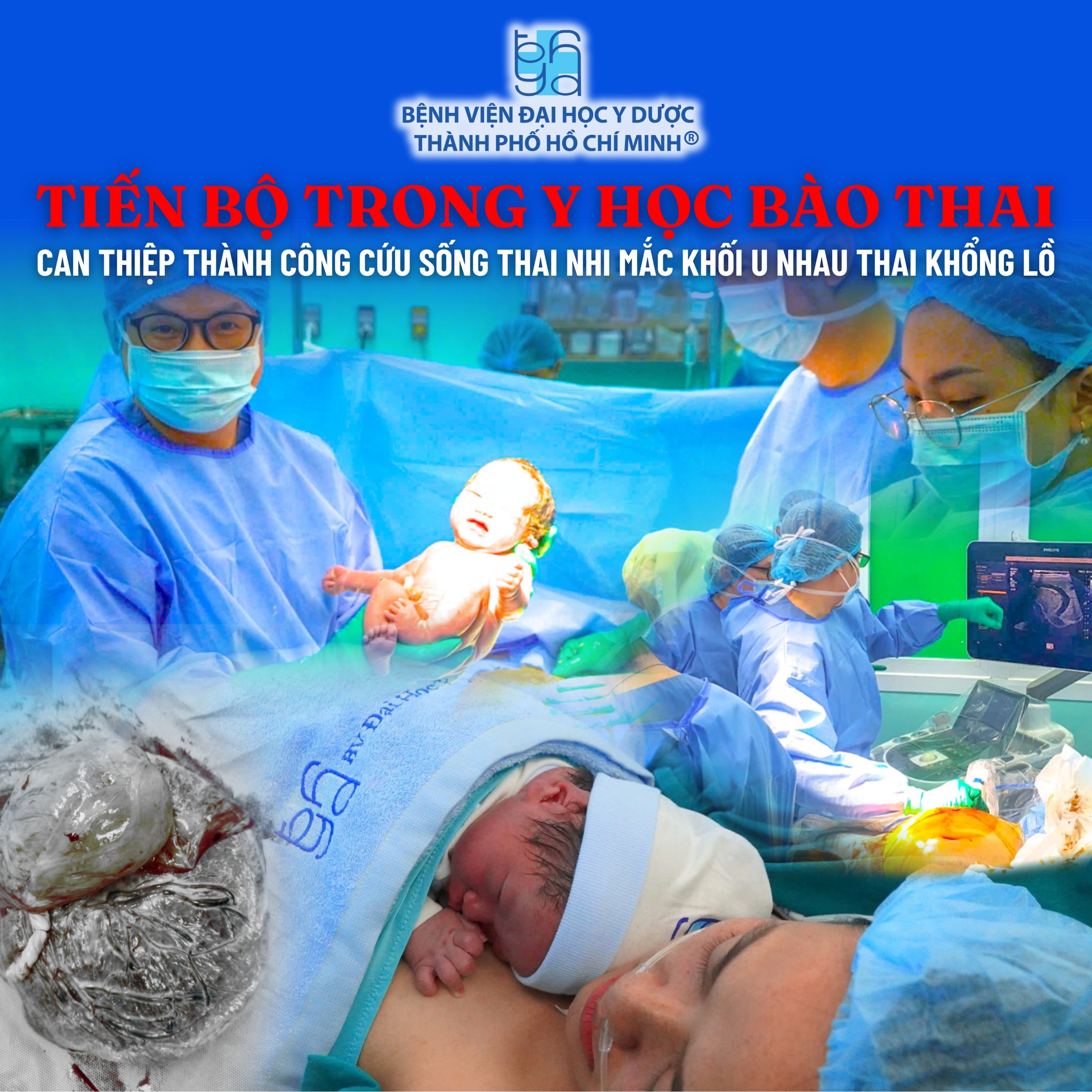 TT Y học bào thai.jpg